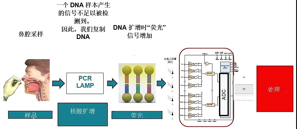 核酸检测需要用到哪些传感器？