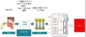 核酸检测需要用到哪些传感器？