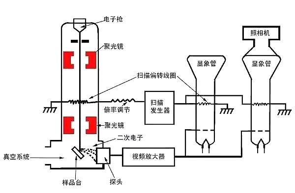 扫描电镜的原理介绍