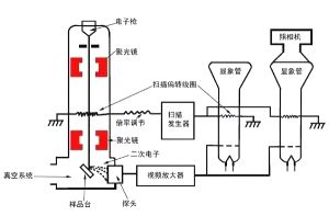 扫描电镜的原理介绍