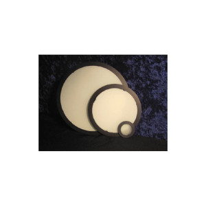 RPC Photonics工程擴(kuò)散器HiLAM
